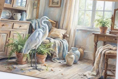 白鷺鷥（每日）