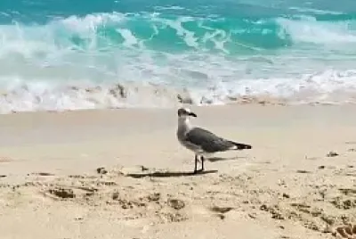 EN CANCUN