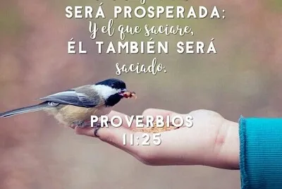 CUIDO A LOS DEMÀS