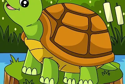 Tortuga de tierra