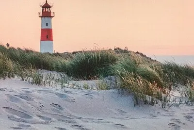 Faro