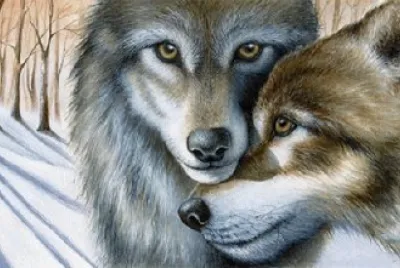 LOBOS