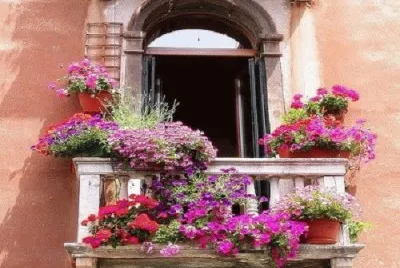 FACHADA jigsaw puzzle