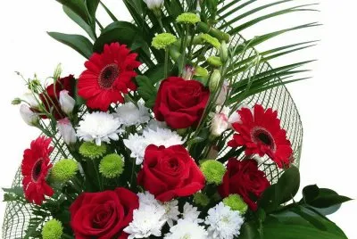 פאזל של flores