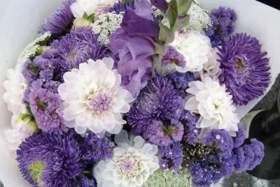 פאזל של flores