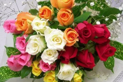 פאזל של flores