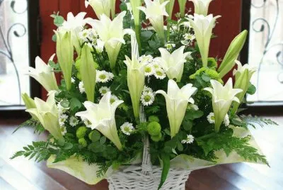 פאזל של flores