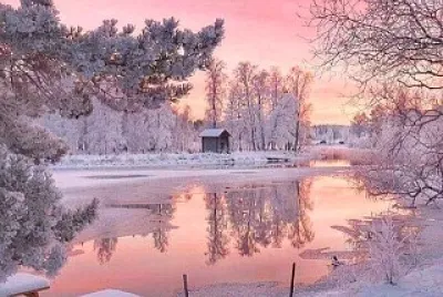 naturaleza jigsaw puzzle