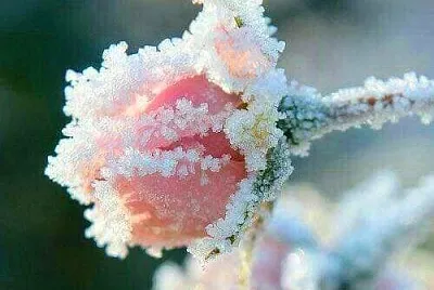 naturaleza