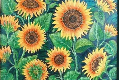 Sun flowers in winter