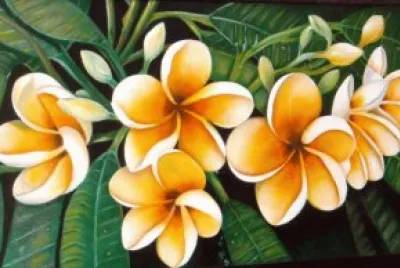 Yellow plumeralias