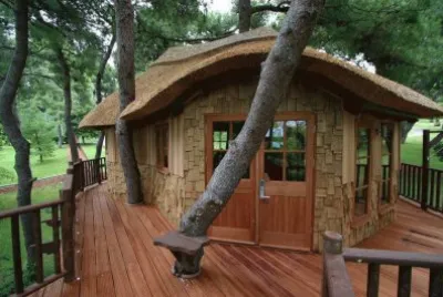 casa de arbol 2
