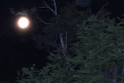 luna