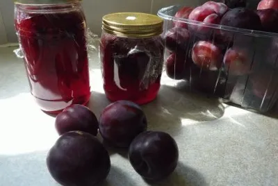 Canning Plums to Jam