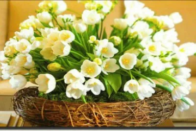 flores