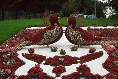 jardim jigsaw puzzle