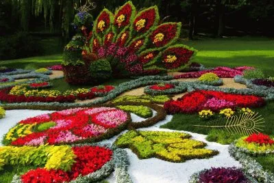 jardim jigsaw puzzle