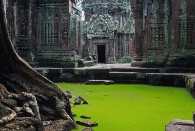 pic 45