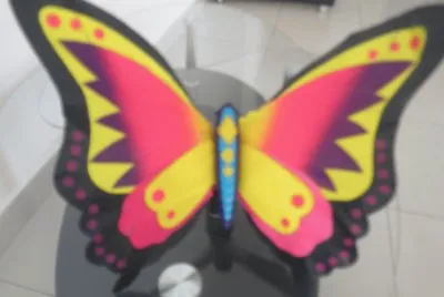 mariposa