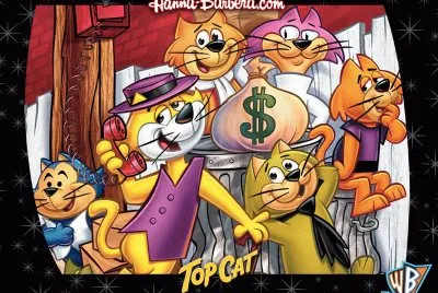 Don Gato