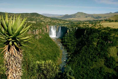 NATURALEZA