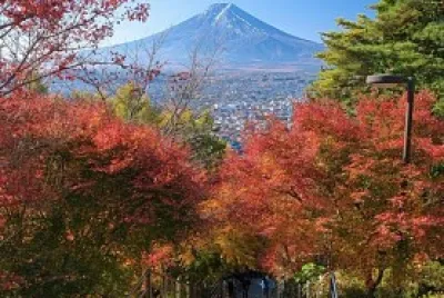 Japón