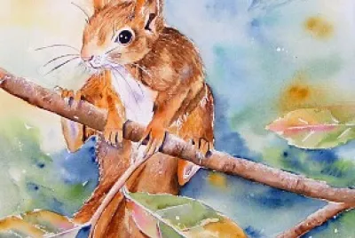 Ecureuil aquarelle jigsaw puzzle