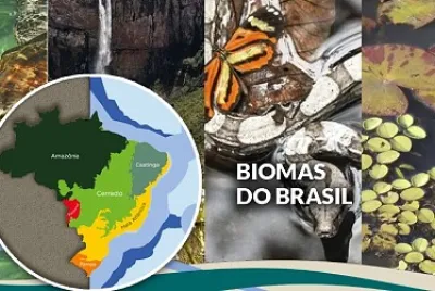 Monte as Peças