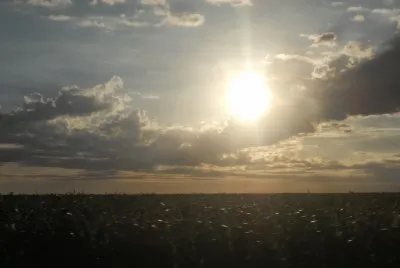 NATUREZA