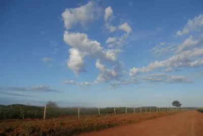 NATUREZA