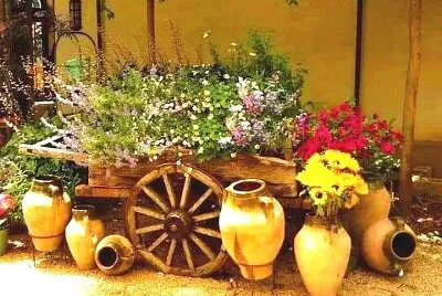 flores