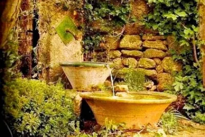 jardin