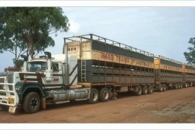 FaraÃ³n