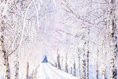 Nieve