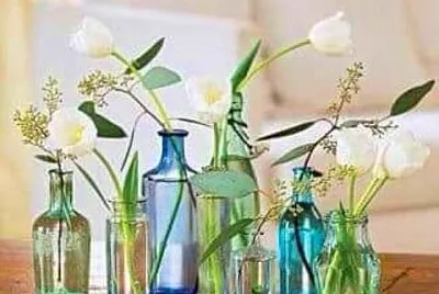 botellas