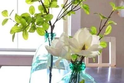 botellas