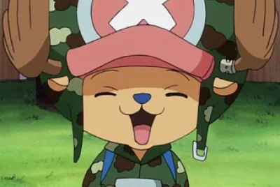 Tony Chopper, one piece