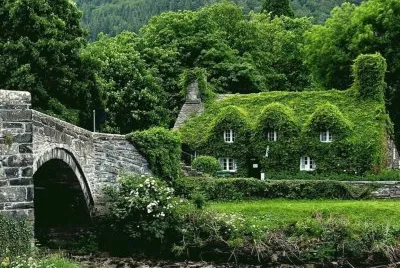 green house. jigsaw puzzle
