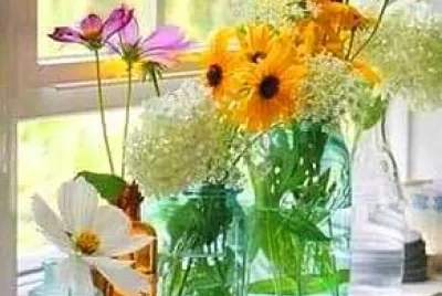 flores