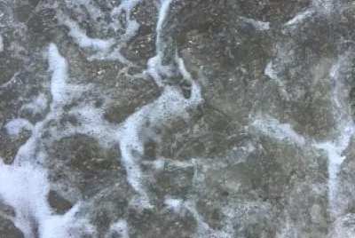 Espuma de Playa