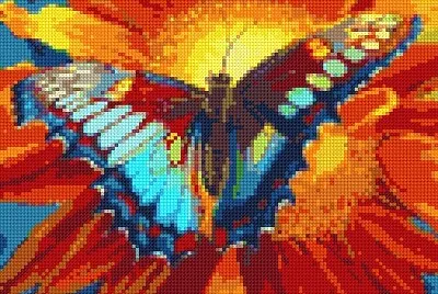 Beautiful Butterfly