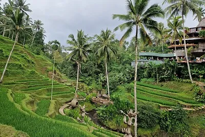 Park Alas Harum Bali