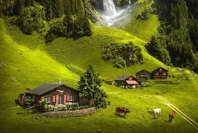 524
