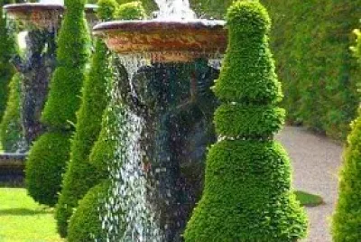 jardin