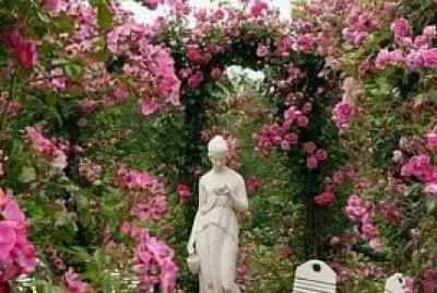 jardin