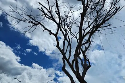 Hermoso día