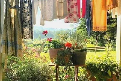 flores