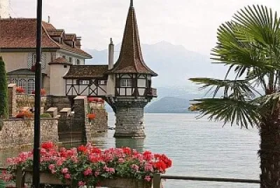 flores