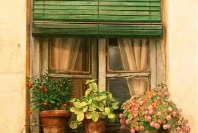 gato