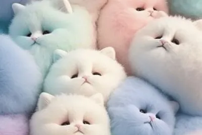 GATITOS D COLOR